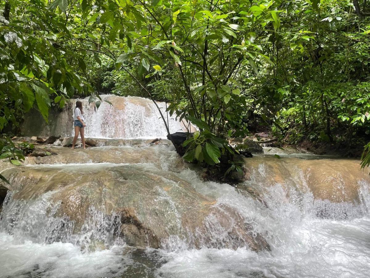 Soul Sync Sanctuary Formally Hacienda La Moringa Apartment ปลายาเฮอร์โมซา ภายนอก รูปภาพ