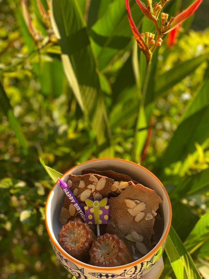 Soul Sync Sanctuary Formally Hacienda La Moringa Apartment ปลายาเฮอร์โมซา ภายนอก รูปภาพ